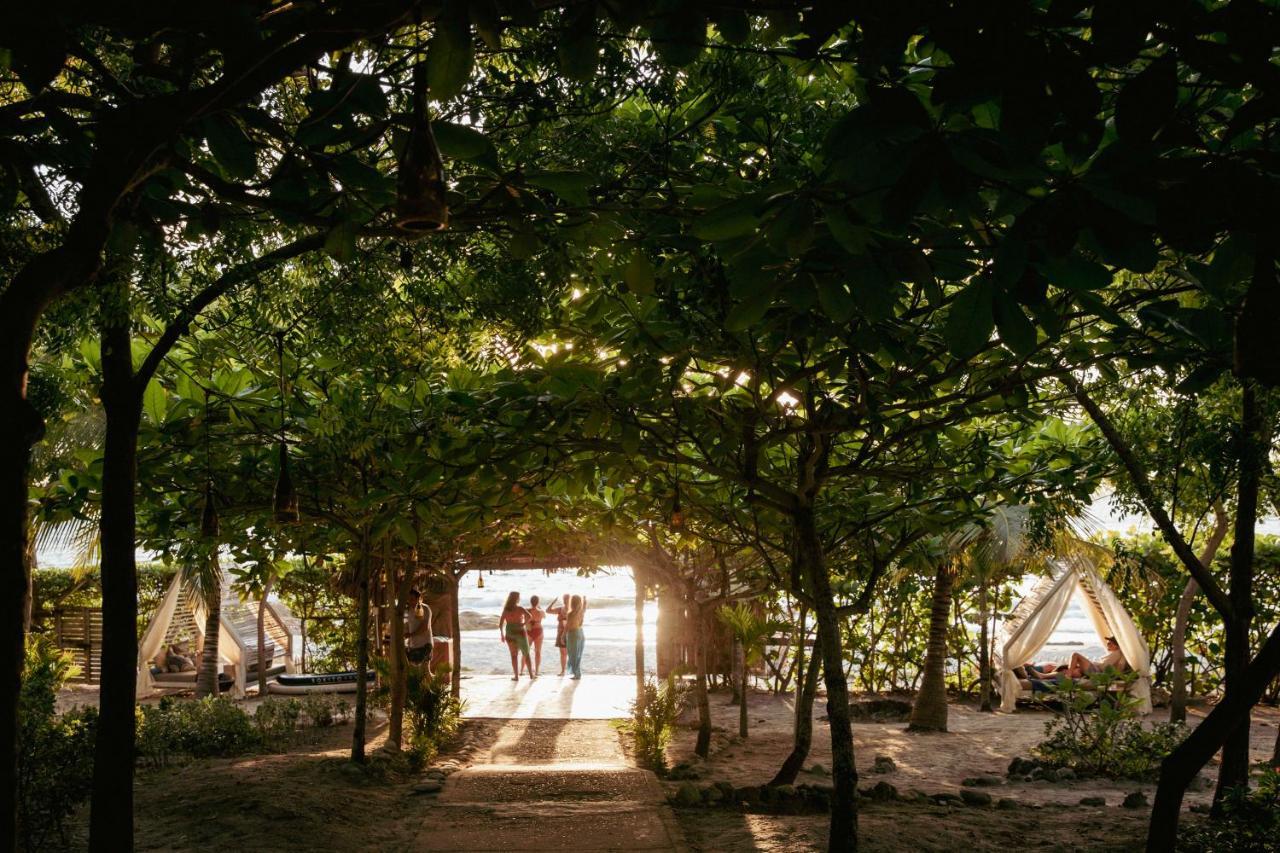 Blue Apple Beach Corregimiento Bocachica エクステリア 写真