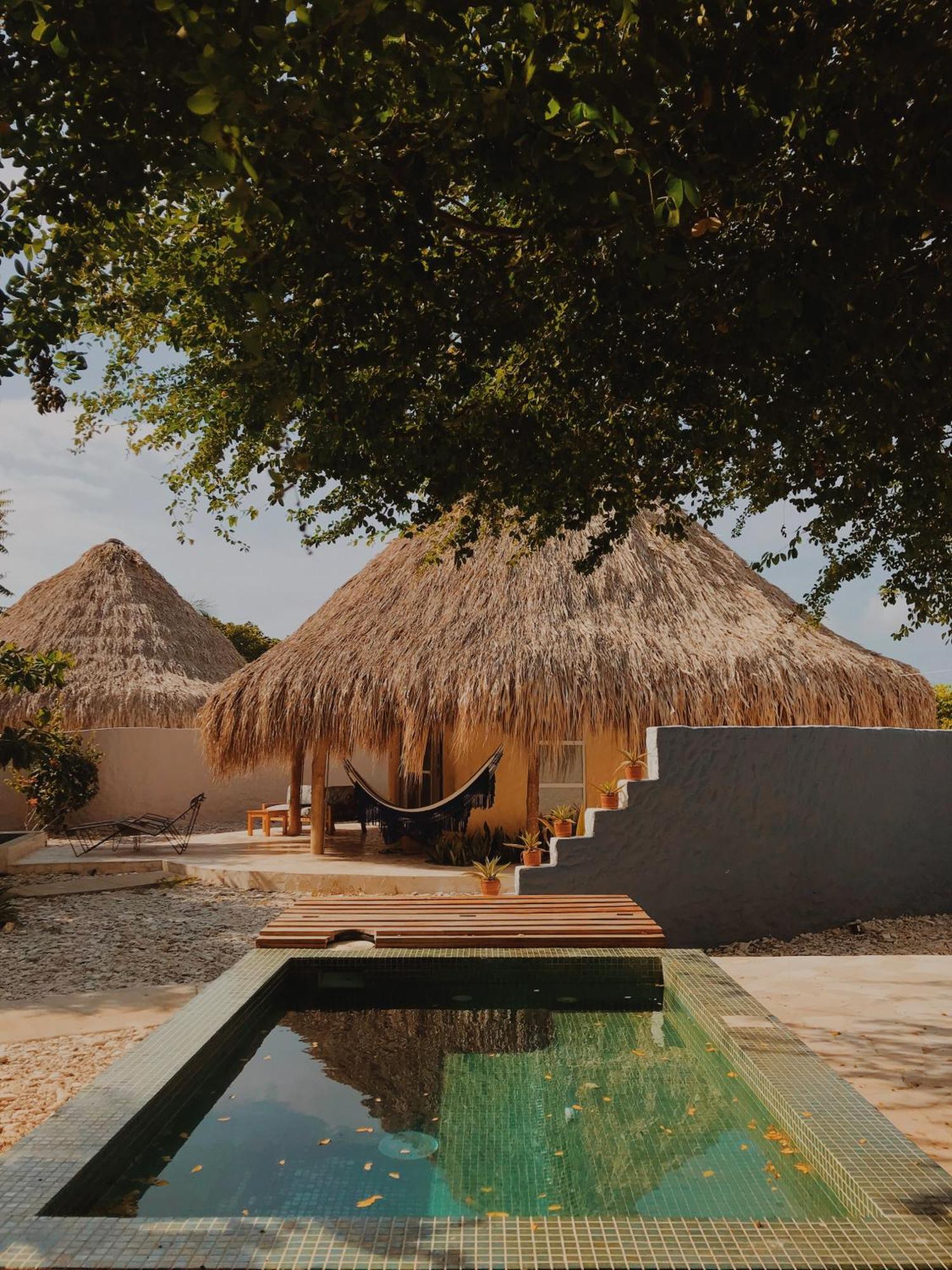 Blue Apple Beach Corregimiento Bocachica 部屋 写真